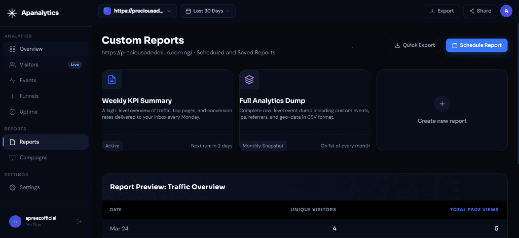 APAnalytics custom reports with weekly KPI summary and full analytics dump